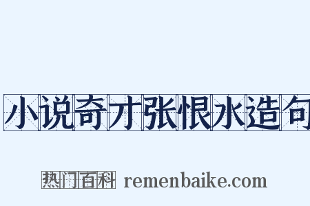 小说奇才张恨水造句是什么意思的图片